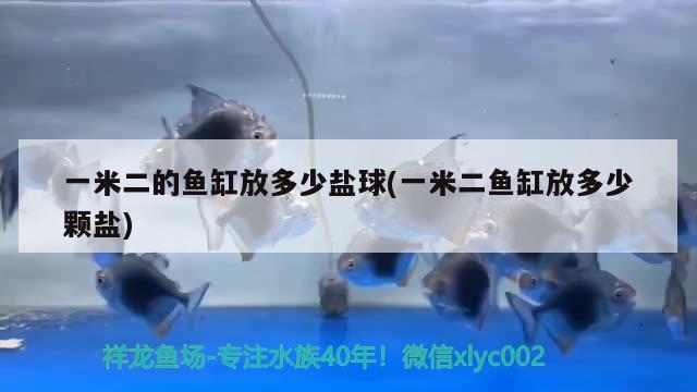 一米二的魚缸放多少鹽球(一米二魚缸放多少顆鹽)