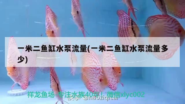 一米二魚缸水泵流量(一米二魚缸水泵流量多少) 魚缸水泵