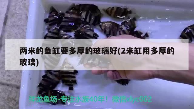 兩米的魚缸要多厚的玻璃好(2米缸用多厚的玻璃)