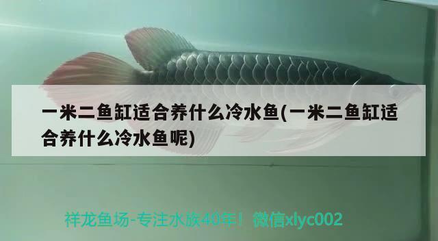 一米二魚缸適合養(yǎng)什么冷水魚(一米二魚缸適合養(yǎng)什么冷水魚呢)