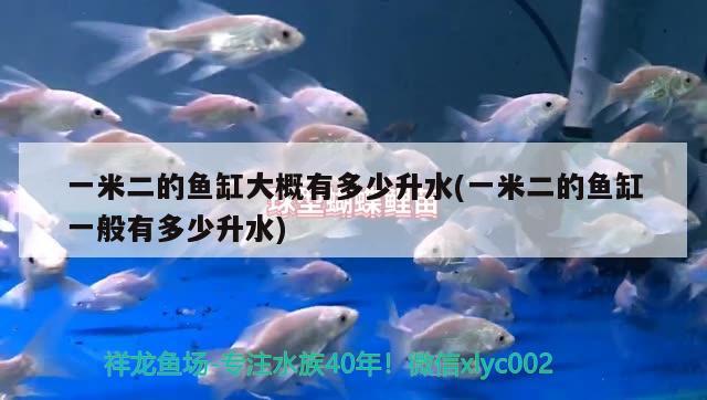 一米二的魚缸大概有多少升水(一米二的魚缸一般有多少升水) 祥龍藍(lán)珀金龍魚