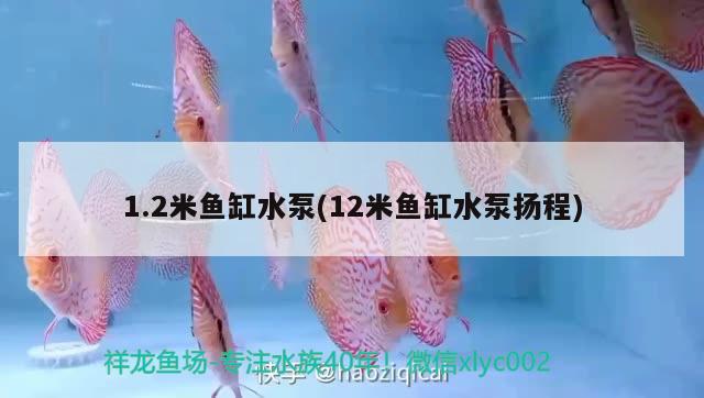 1.2米魚缸水泵(12米魚缸水泵揚(yáng)程) 魚缸水泵