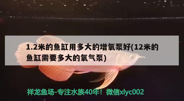 1.2米的魚缸用多大的增氧泵好(12米的魚缸需要多大的氧氣泵) 觀賞魚市場