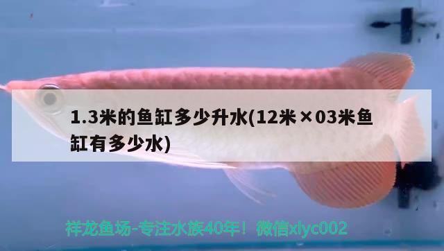 1.3米的魚(yú)缸多少升水(12米×03米魚(yú)缸有多少水) 金頭過(guò)背金龍魚(yú)