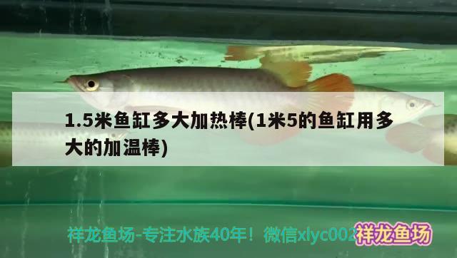 1.5米魚缸多大加熱棒(1米5的魚缸用多大的加溫棒)