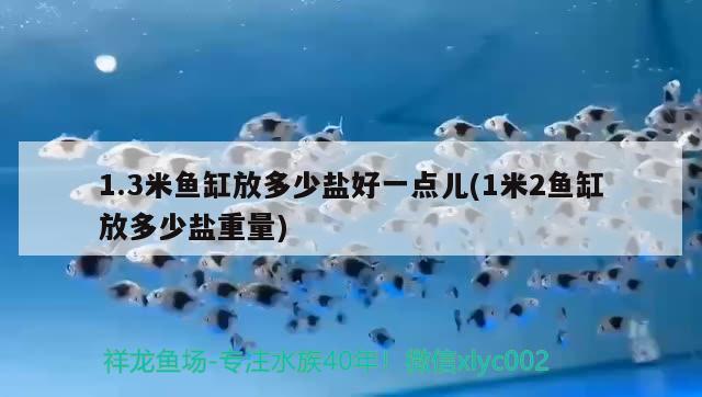 1.3米魚缸放多少鹽好一點(diǎn)兒(1米2魚缸放多少鹽重量) 魟魚百科