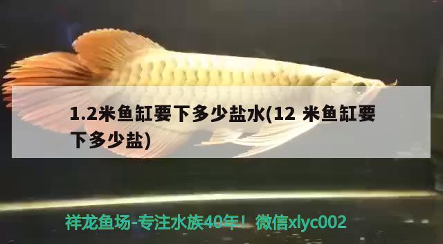 1.2米魚缸要下多少鹽水(12米魚缸要下多少鹽) 水草