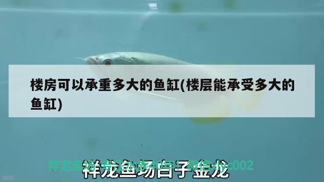 樓房可以承重多大的魚缸(樓層能承受多大的魚缸)