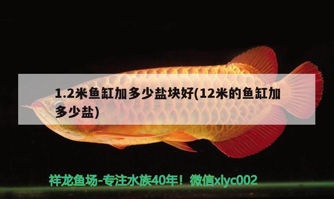 1.2米魚缸加多少鹽塊好(12米的魚缸加多少鹽)