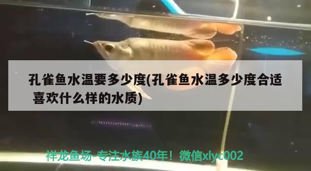 孔雀魚水溫要多少度(孔雀魚水溫多少度合適喜歡什么樣的水質(zhì))