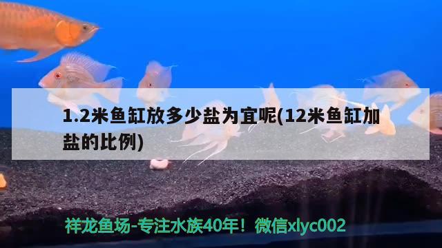 1.2米魚(yú)缸放多少鹽為宜呢(12米魚(yú)缸加鹽的比例)