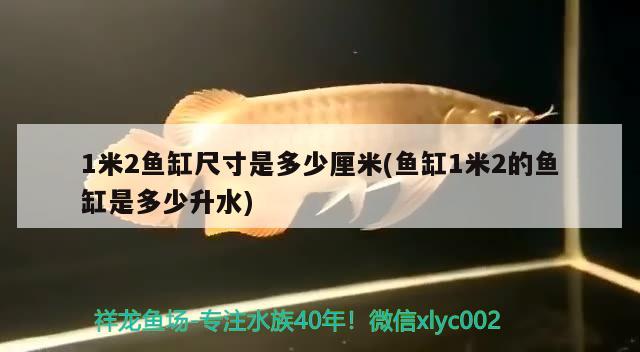 1米2魚缸尺寸是多少厘米(魚缸1米2的魚缸是多少升水) 福滿鉆魚