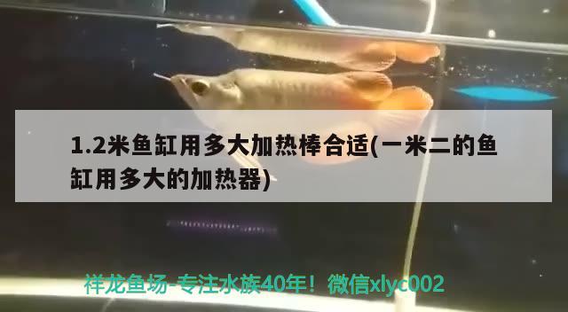 1.2米魚缸用多大加熱棒合適(一米二的魚缸用多大的加熱器)