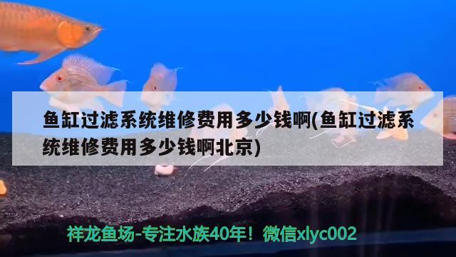 魚缸過濾系統(tǒng)維修費用多少錢啊(魚缸過濾系統(tǒng)維修費用多少錢啊北京)