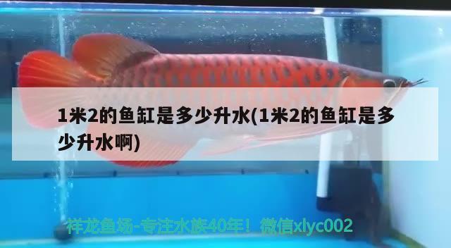 1米2的魚缸是多少升水(1米2的魚缸是多少升水啊) 南美異型魚