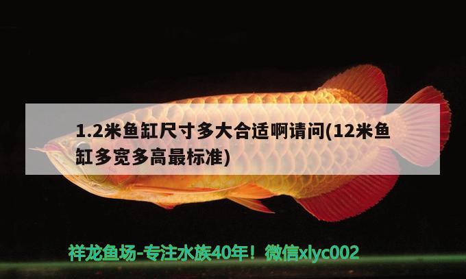 1.2米魚缸尺寸多大合適啊請(qǐng)問(12米魚缸多寬多高最標(biāo)準(zhǔn))