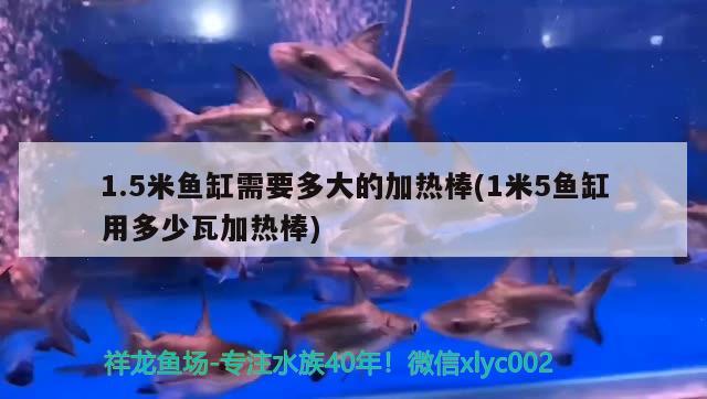 1.5米魚缸需要多大的加熱棒(1米5魚缸用多少瓦加熱棒) 祥龍龍魚魚糧