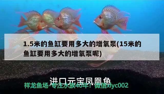 1.5米的魚缸要用多大的增氧泵(15米的魚缸要用多大的增氧泵呢)