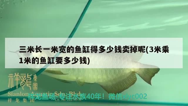 三米長(zhǎng)一米寬的魚缸得多少錢賣掉呢(3米乘1米的魚缸要多少錢)