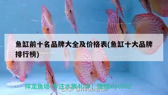 魚缸前十名品牌大全及價(jià)格表(魚缸十大品牌排行榜) 黃鰭鯧魚