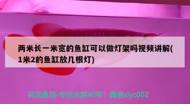 兩米長一米寬的魚缸可以做燈架嗎視頻講解(1米2的魚缸放幾根燈)