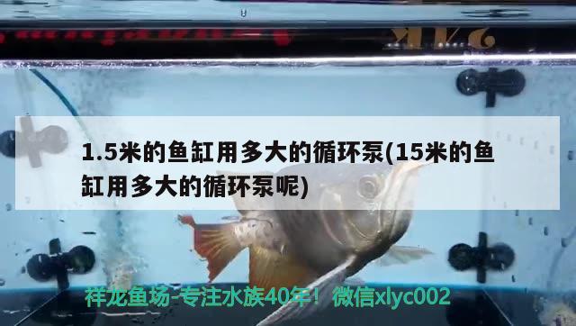 1.5米的魚(yú)缸用多大的循環(huán)泵(15米的魚(yú)缸用多大的循環(huán)泵呢)