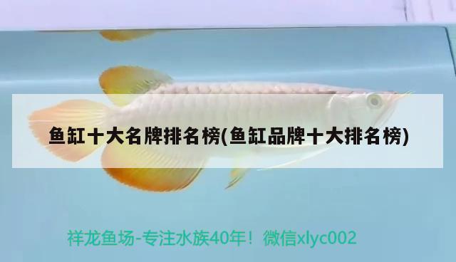 魚(yú)缸十大名牌排名榜(魚(yú)缸品牌十大排名榜) 綠皮辣椒小紅龍