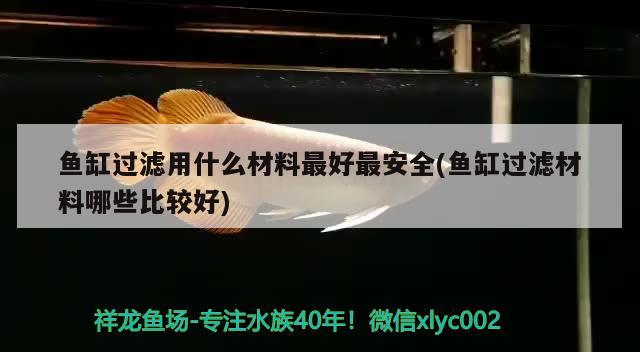 魚缸過濾用什么材料最好最安全(魚缸過濾材料哪些比較好) 綠皮辣椒小紅龍