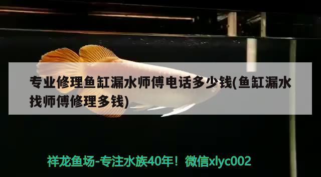 專業(yè)修理魚缸漏水師傅電話多少錢(魚缸漏水找?guī)煾敌蘩矶噱X)