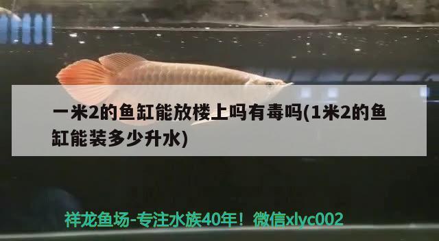 一米2的魚缸能放樓上嗎有毒嗎(1米2的魚缸能裝多少升水)