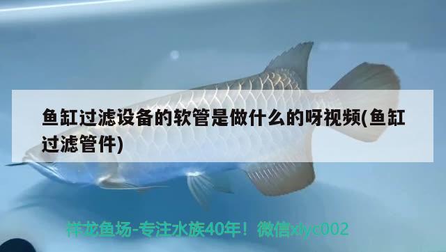 魚缸過濾設(shè)備的軟管是做什么的呀視頻(魚缸過濾管件) 過濾設(shè)備