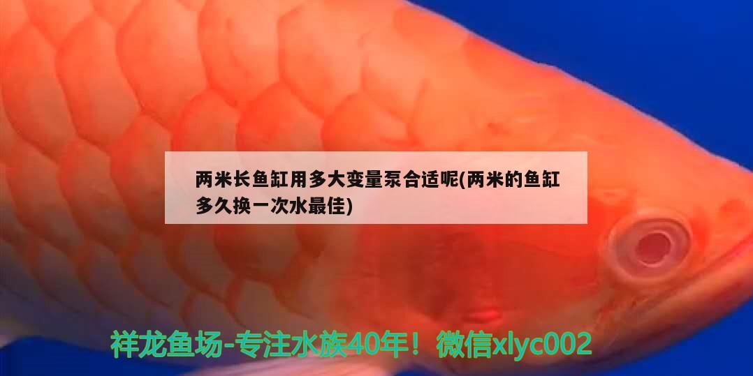 兩米長(zhǎng)魚(yú)缸用多大變量泵合適呢(兩米的魚(yú)缸多久換一次水最佳)