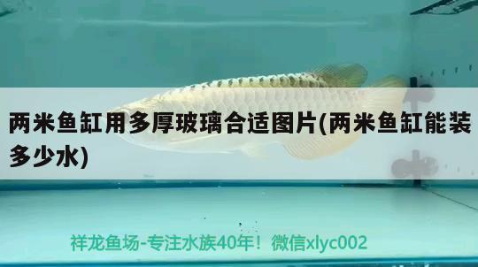 兩米魚(yú)缸用多厚玻璃合適圖片(兩米魚(yú)缸能裝多少水)