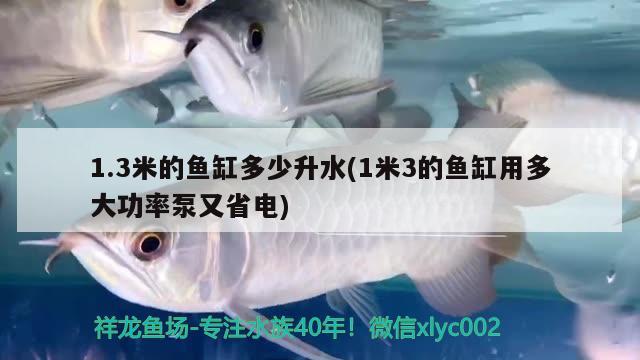 1.3米的魚缸多少升水(1米3的魚缸用多大功率泵又省電)