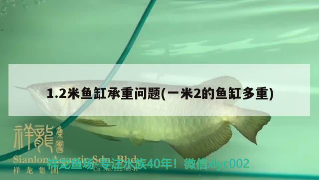 1.2米魚缸承重問題(一米2的魚缸多重)