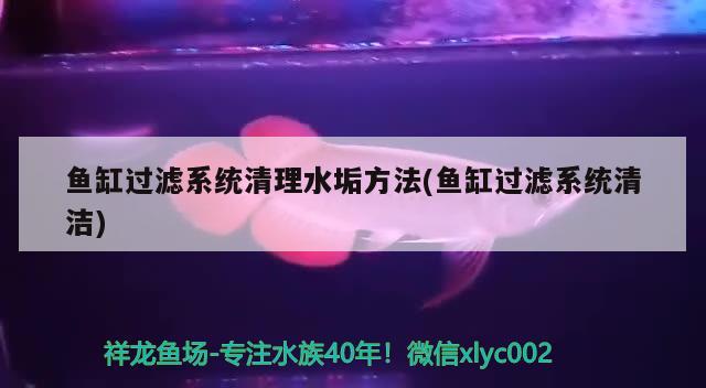 魚缸過濾系統(tǒng)清理水垢方法(魚缸過濾系統(tǒng)清潔) 觀賞魚飼料