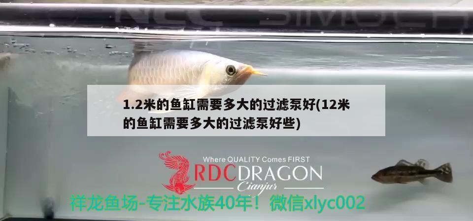 1.2米的魚缸需要多大的過濾泵好(12米的魚缸需要多大的過濾泵好些)