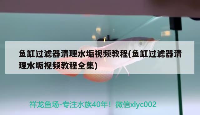 魚缸過濾器清理水垢視頻教程(魚缸過濾器清理水垢視頻教程全集) 祥龍水族醫(yī)院