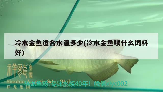 冷水金魚適合水溫多少(冷水金魚喂什么飼料好) 觀賞魚