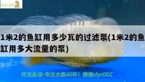 1米2的魚缸用多少瓦的過濾泵(1米2的魚缸用多大流量的泵) 大湖紅龍魚