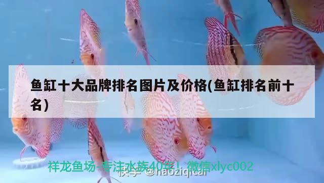 魚缸十大品牌排名圖片及價格(魚缸排名前十名)