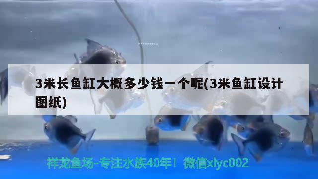 3米長魚缸大概多少錢一個呢(3米魚缸設計圖紙)