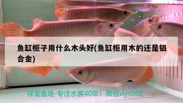 魚缸柜子用什么木頭好(魚缸柜用木的還是鋁合金)