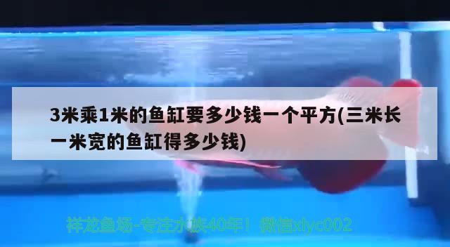 3米乘1米的魚缸要多少錢一個(gè)平方(三米長(zhǎng)一米寬的魚缸得多少錢) 印尼虎苗