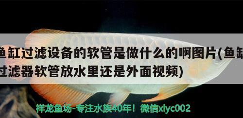 魚缸過濾設(shè)備的軟管是做什么的啊圖片(魚缸過濾器軟管放水里還是外面視頻) 過濾設(shè)備