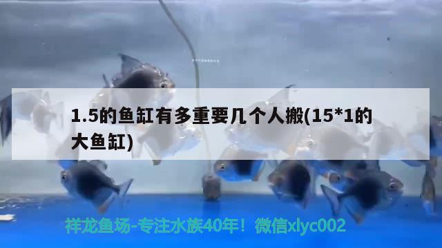 1.5的魚缸有多重要幾個(gè)人搬(15*1的大魚缸) 福滿鉆魚