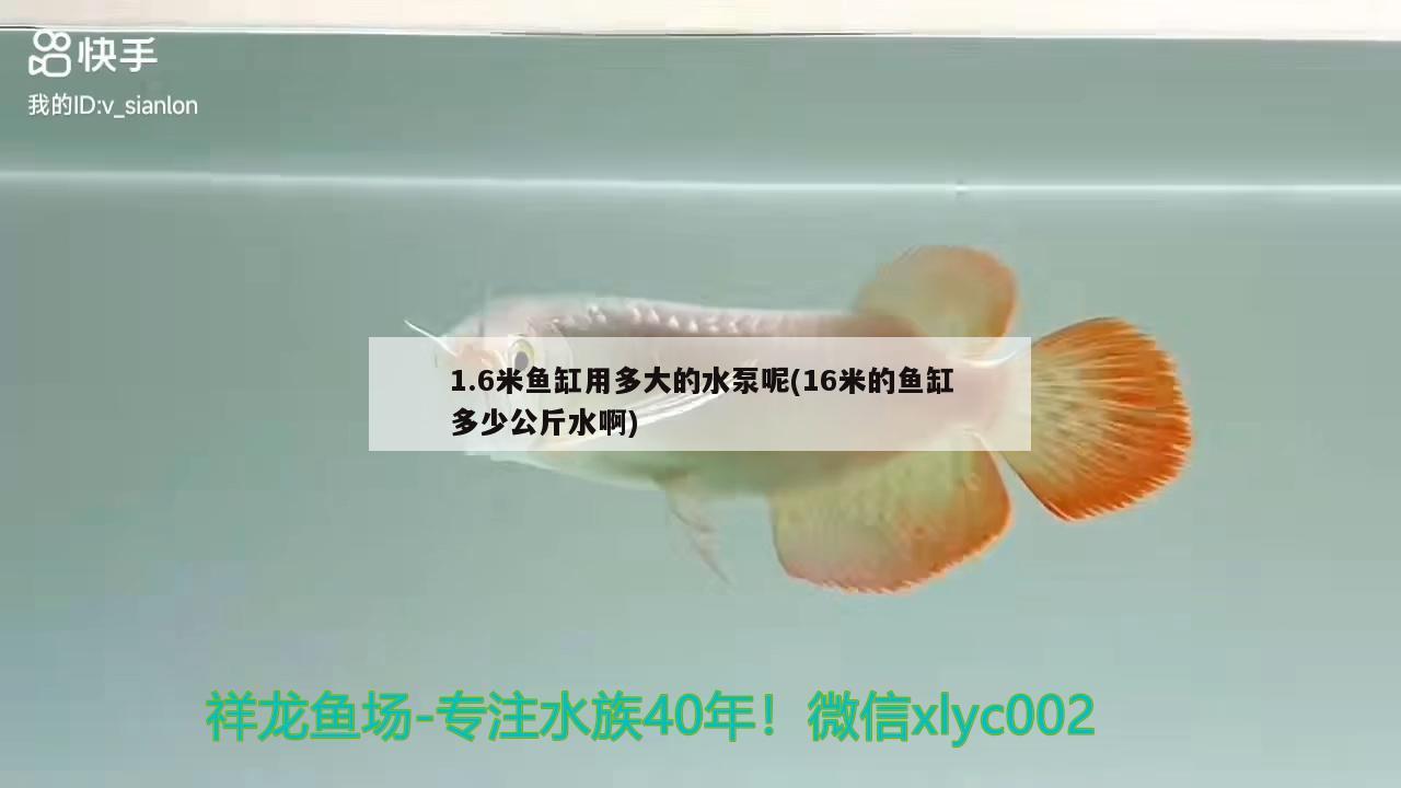 1.6米魚缸用多大的水泵呢(16米的魚缸多少公斤水啊)