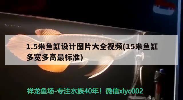 1.5米魚(yú)缸設(shè)計(jì)圖片大全視頻(15米魚(yú)缸多寬多高最標(biāo)準(zhǔn)) 豬鼻龜