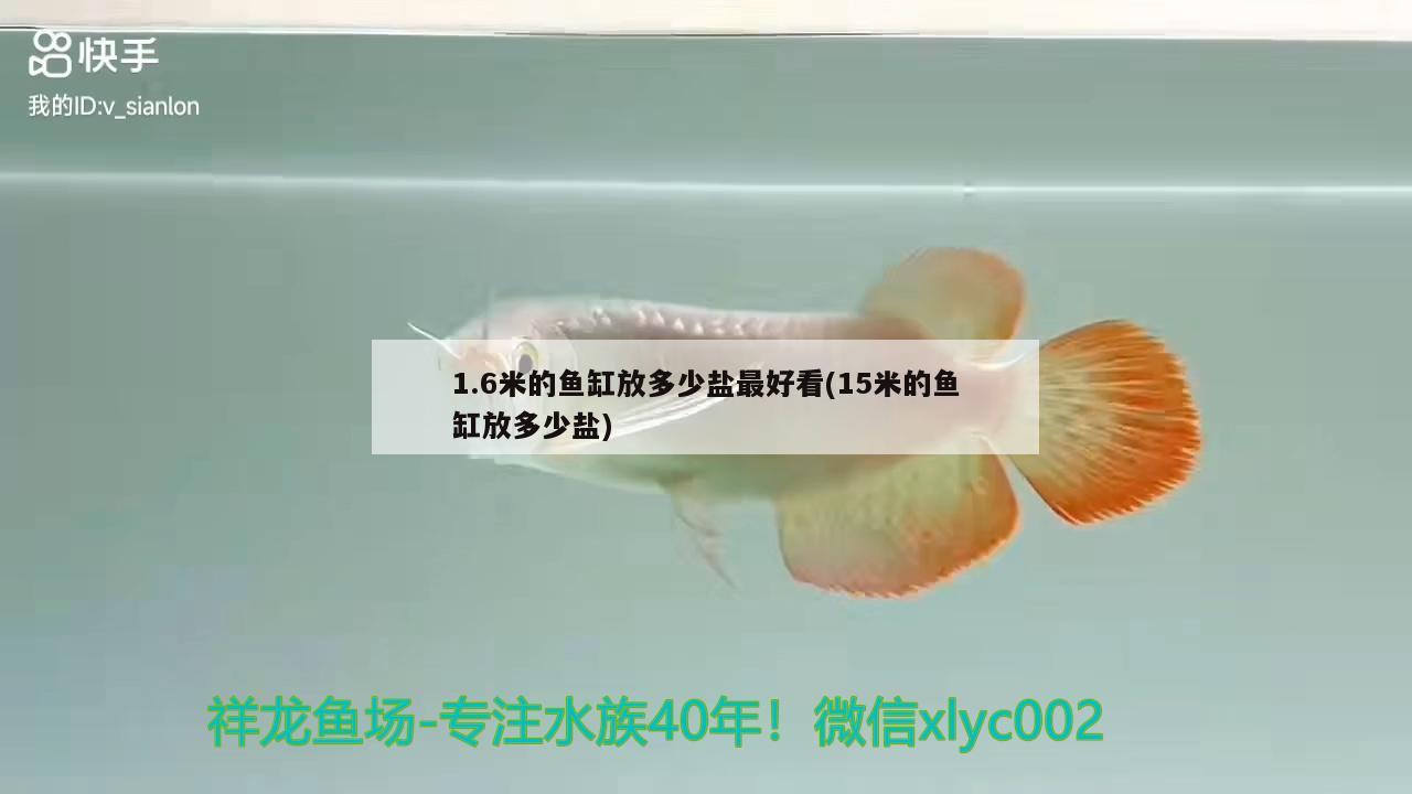 1.6米的魚(yú)缸放多少鹽最好看(15米的魚(yú)缸放多少鹽)