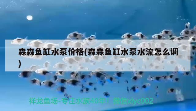 森森魚缸水泵價格(森森魚缸水泵水流怎么調(diào)) 魚缸水泵